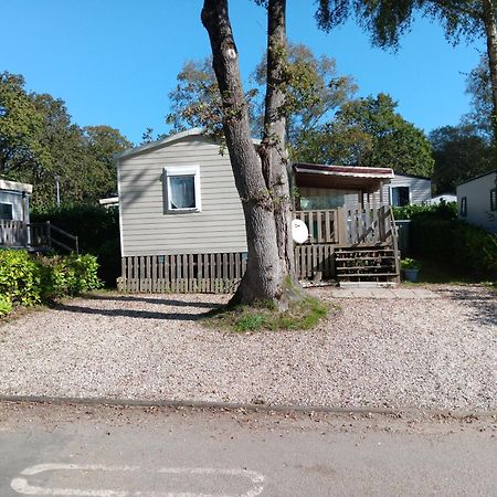 Mobil-Home Trigano 3 Chambres Pont-Aven Eksteriør billede